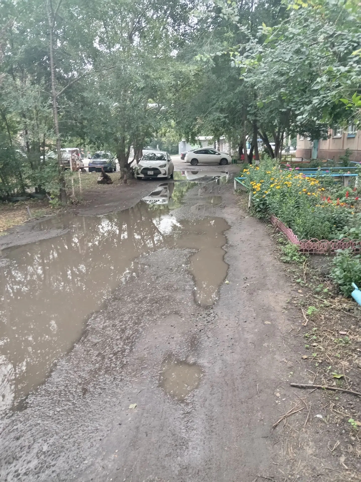 Дорога во дворе дома