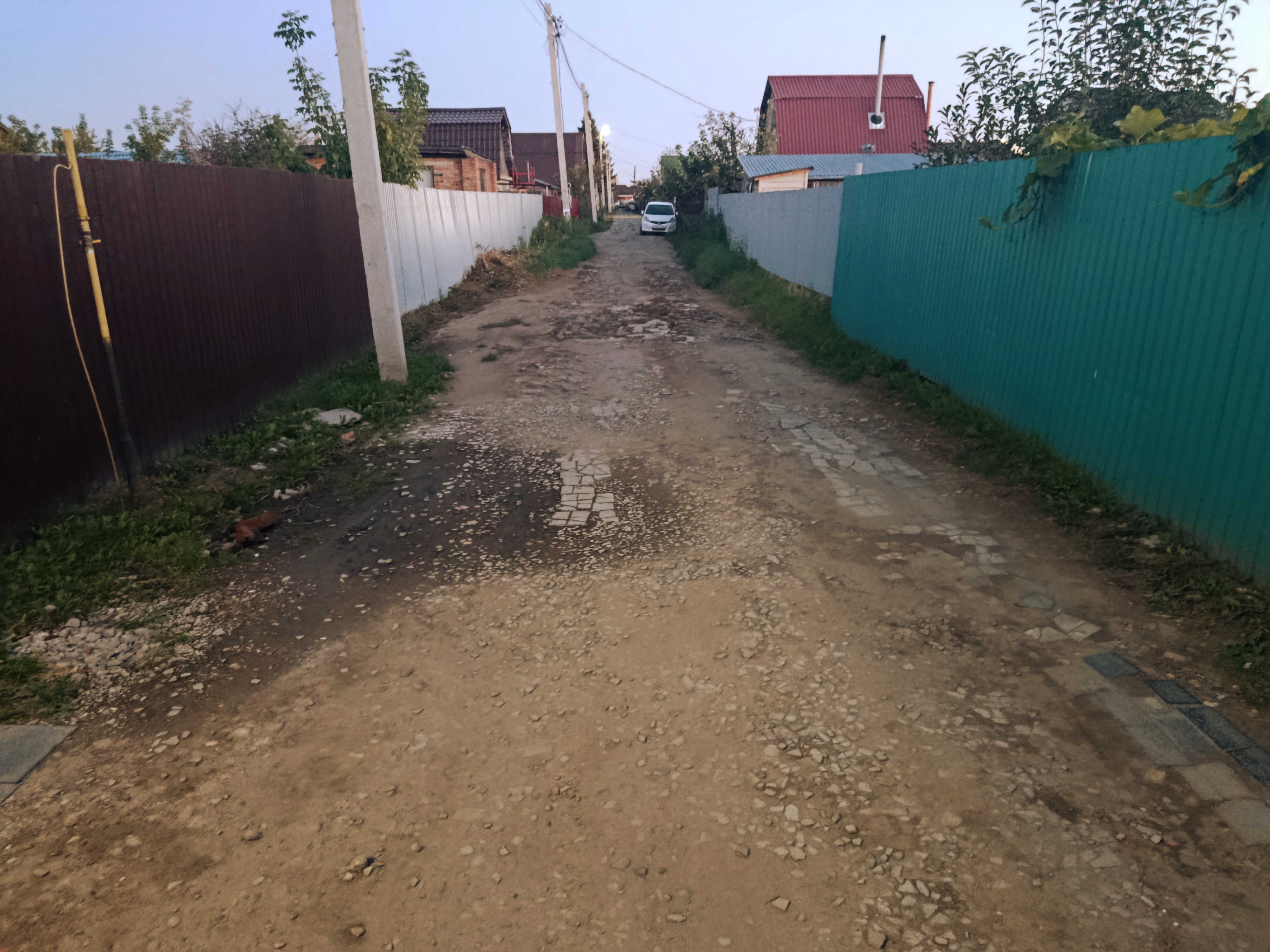 Аллея 5 СОСН Здоровье