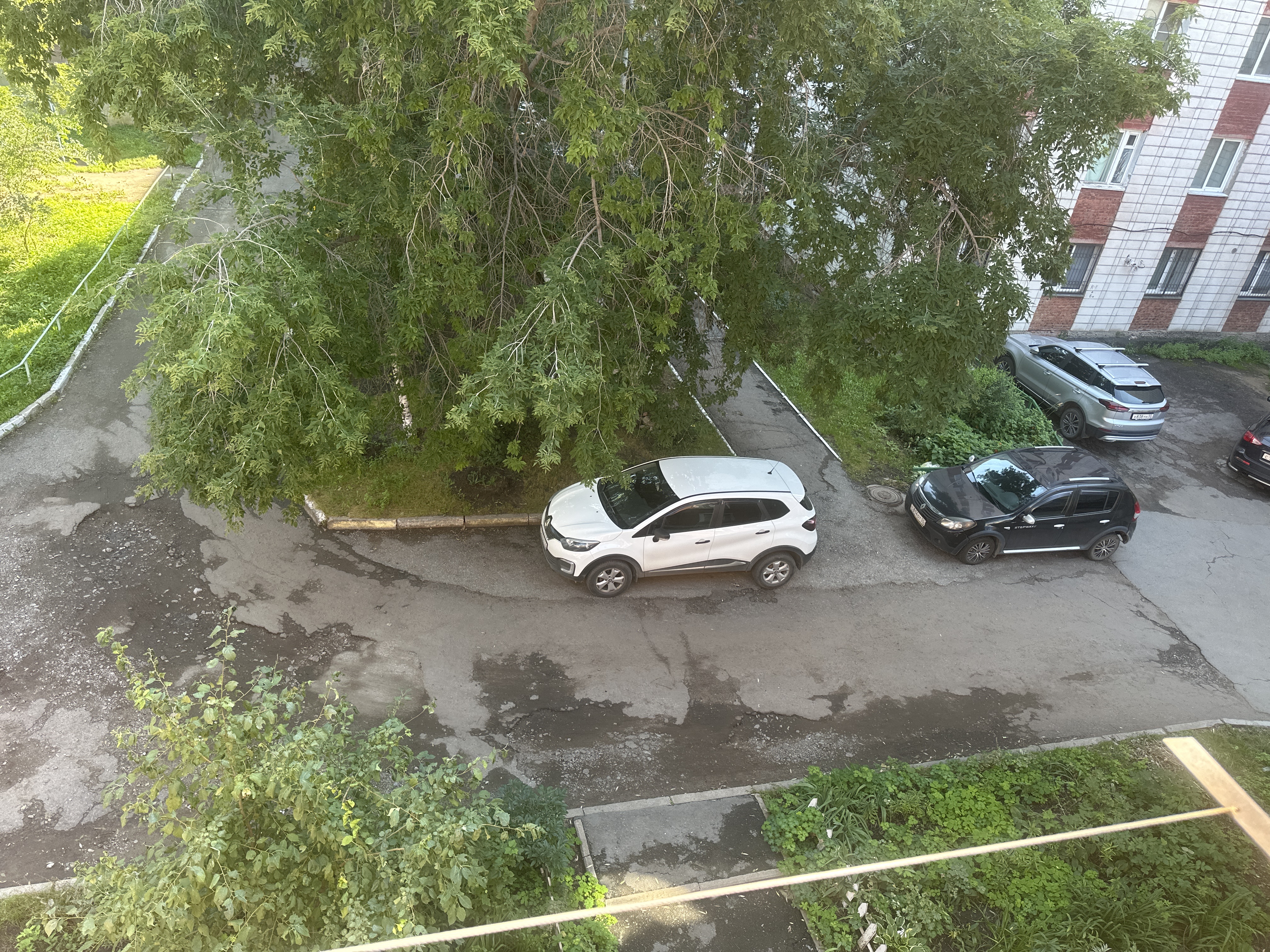Заасфальтировать придомовую территорию по адресу г. Омск ул Герцена 44