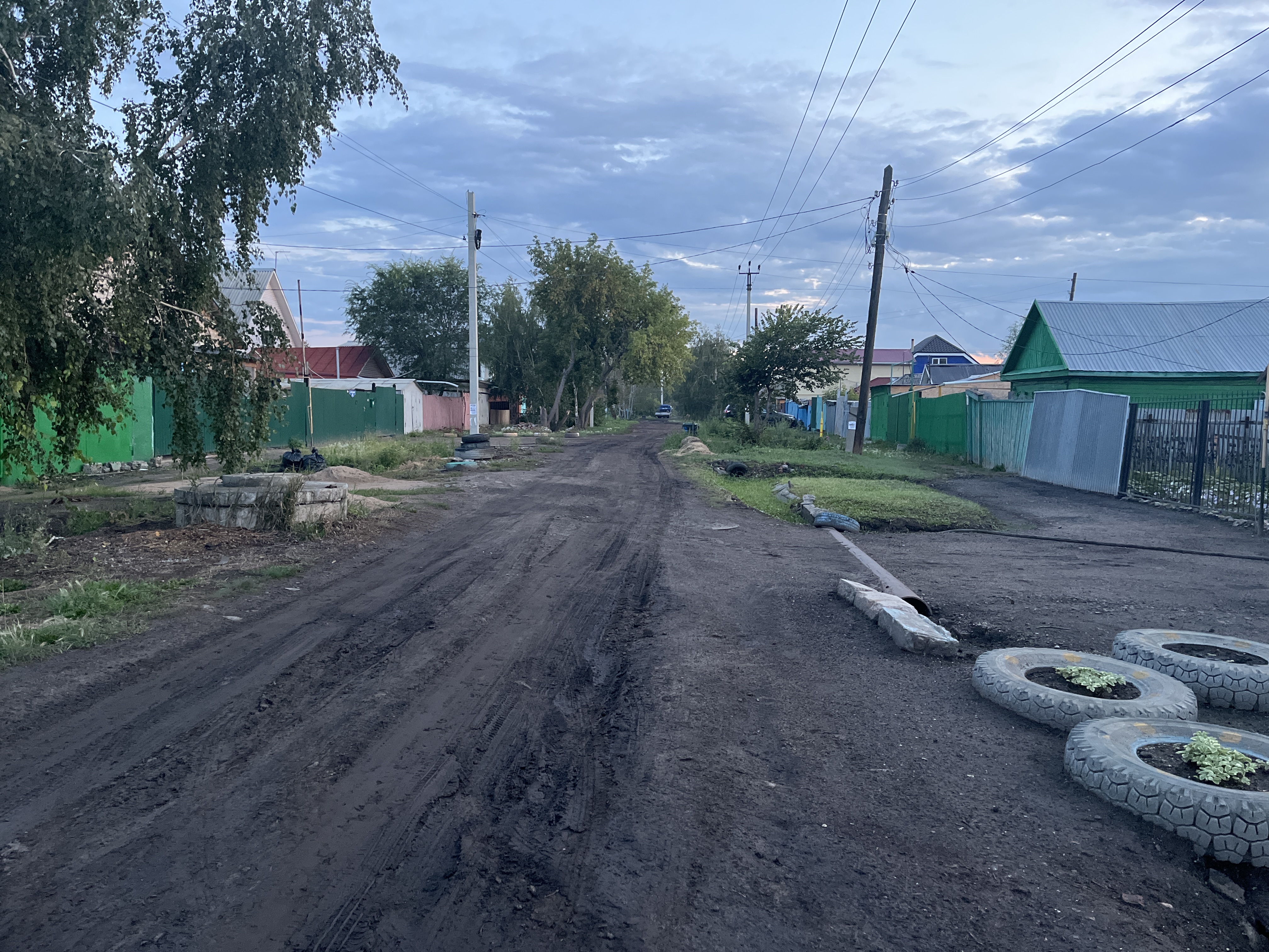 Заасфальтировать улицу Муромцева с дома 24 по 40 дом