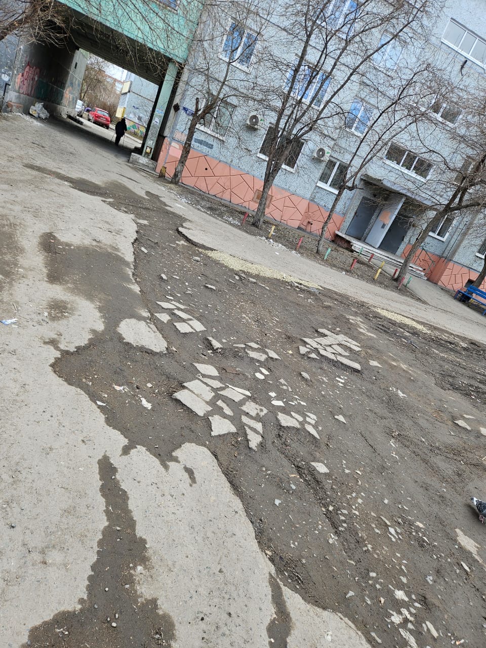 Дорога(переход) проходящая с дороги ул. Омская  к дому Омская 152