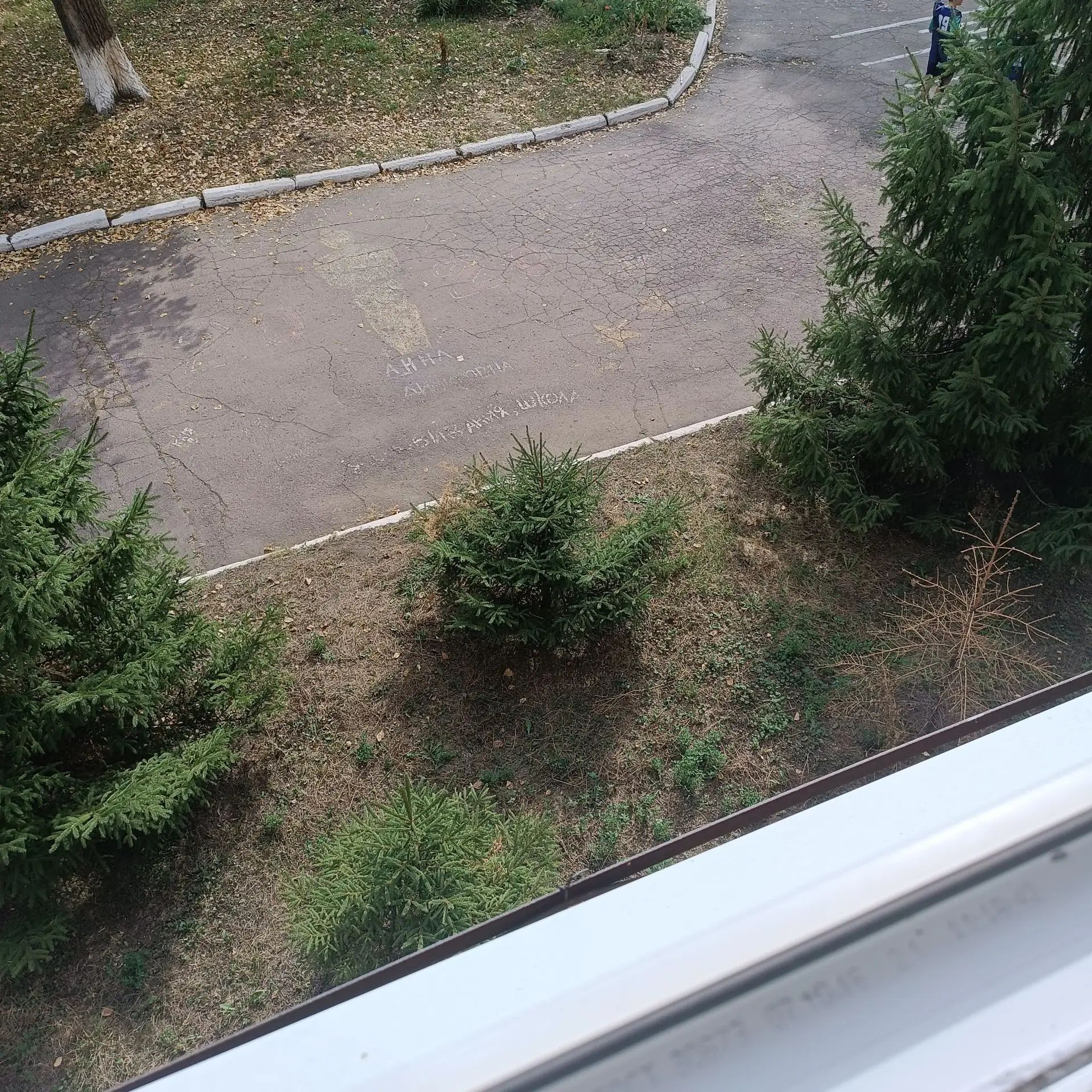 Территория гимназии 12
