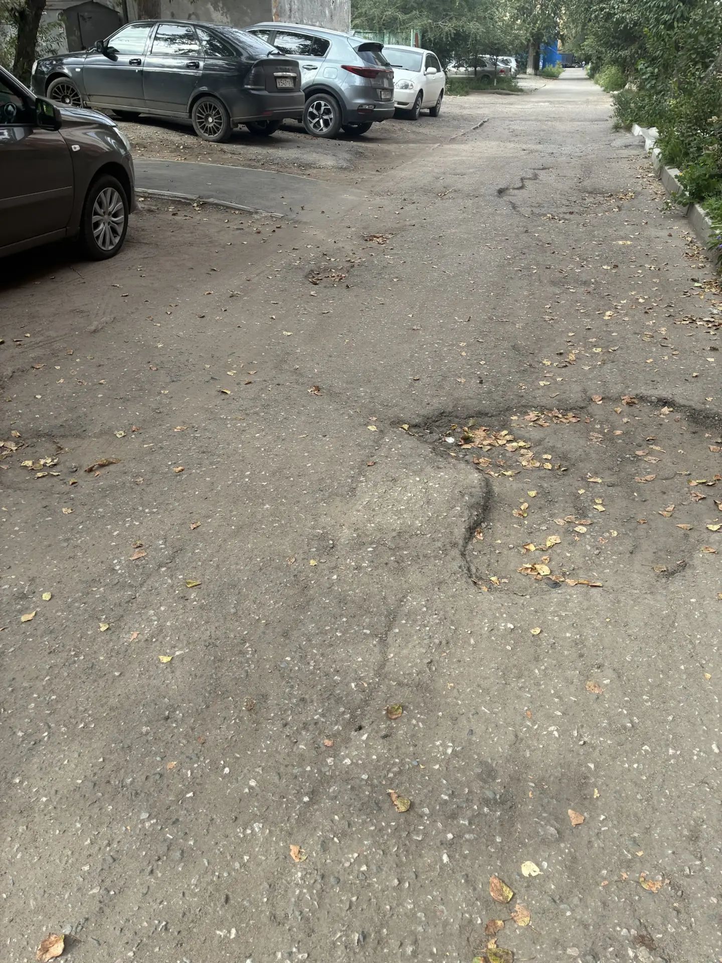 Придомовая дорога Петухова д. 1