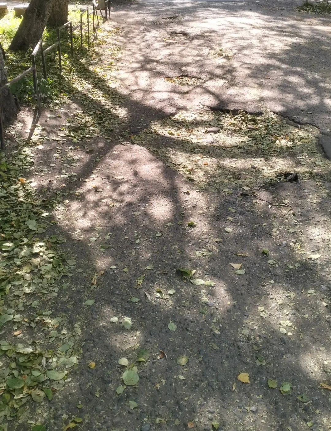 Дорога вдоль дома