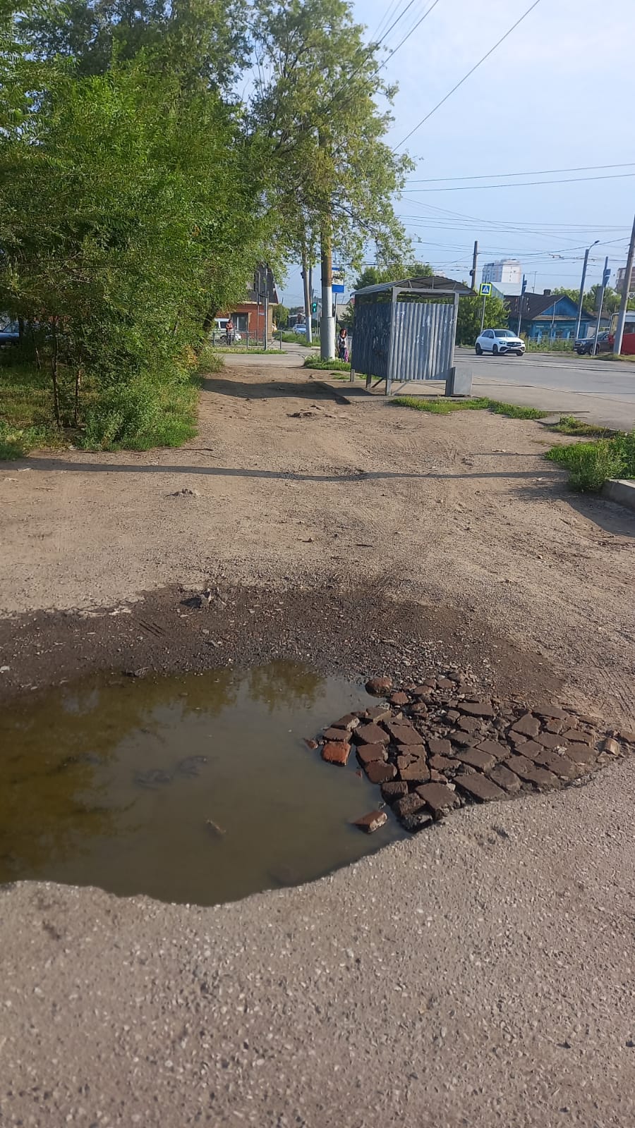 Межквартальный проезд у МКД 138 по ул. Лермонтова между автобусной остановкой "Лермонтова" и МКД, а также перед торцом МКД 126 по ул. Б.Хмельницкого (напротив магазина "Удача")