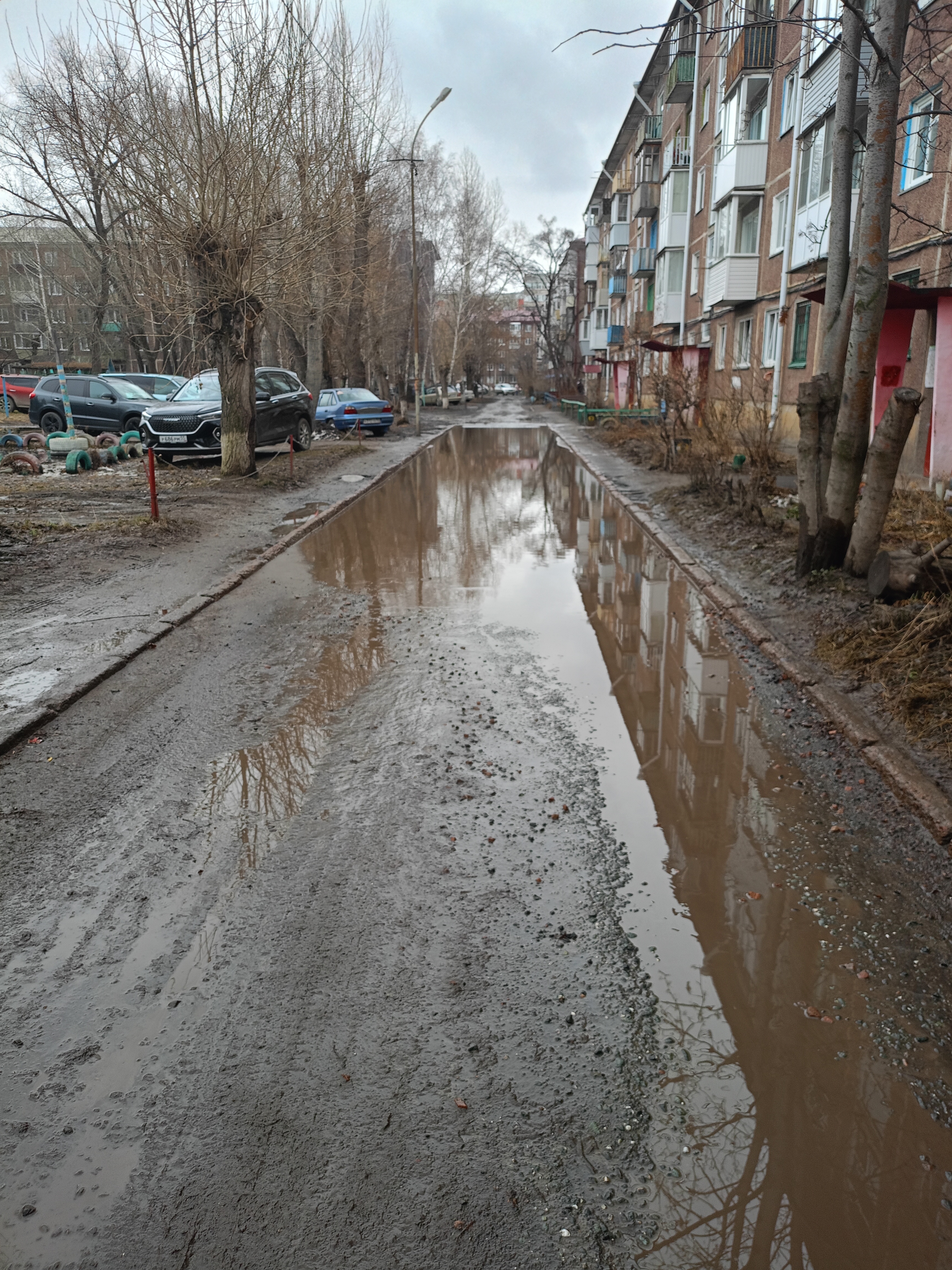 Сад 216