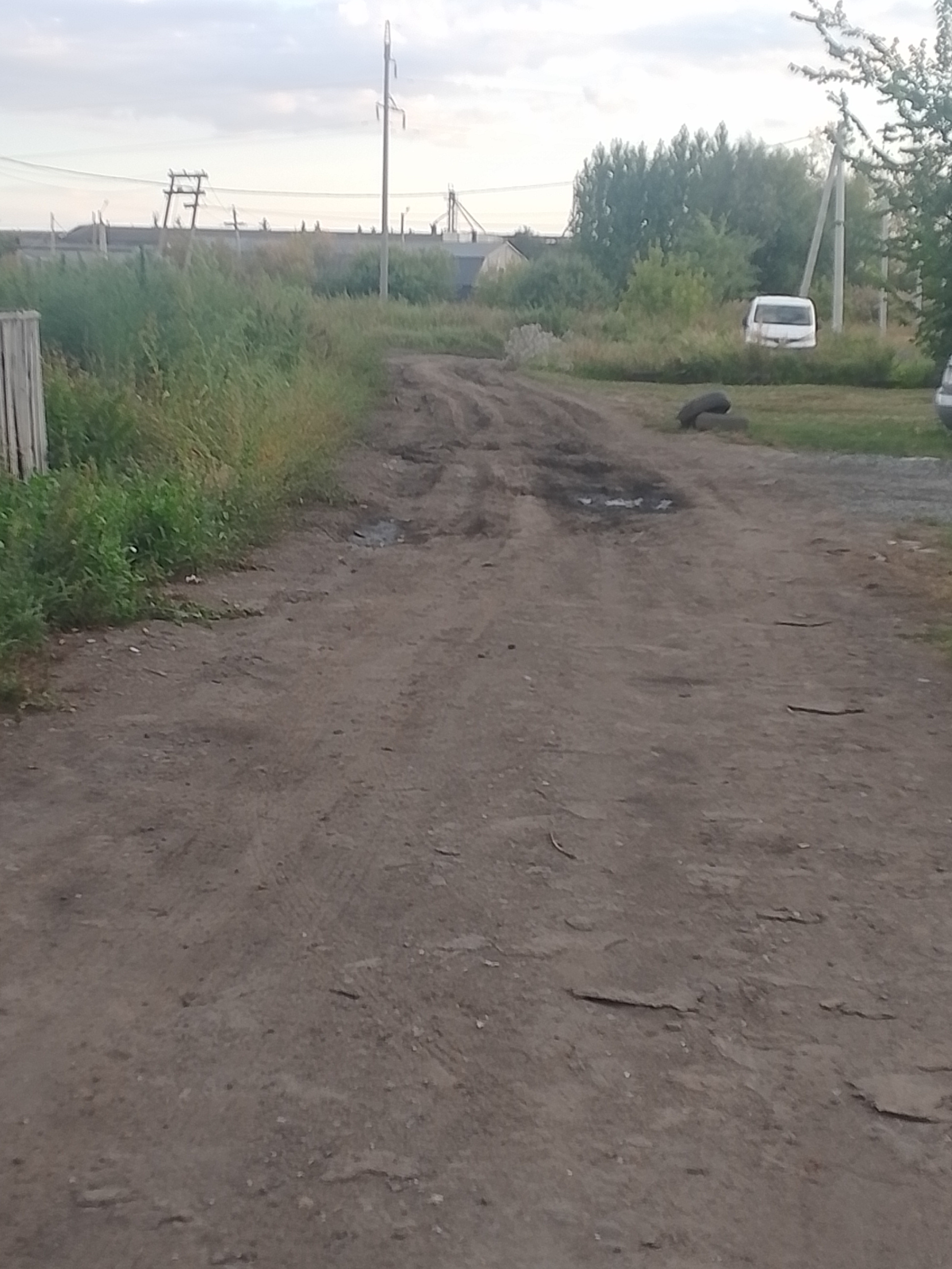 Дорога в школу 119