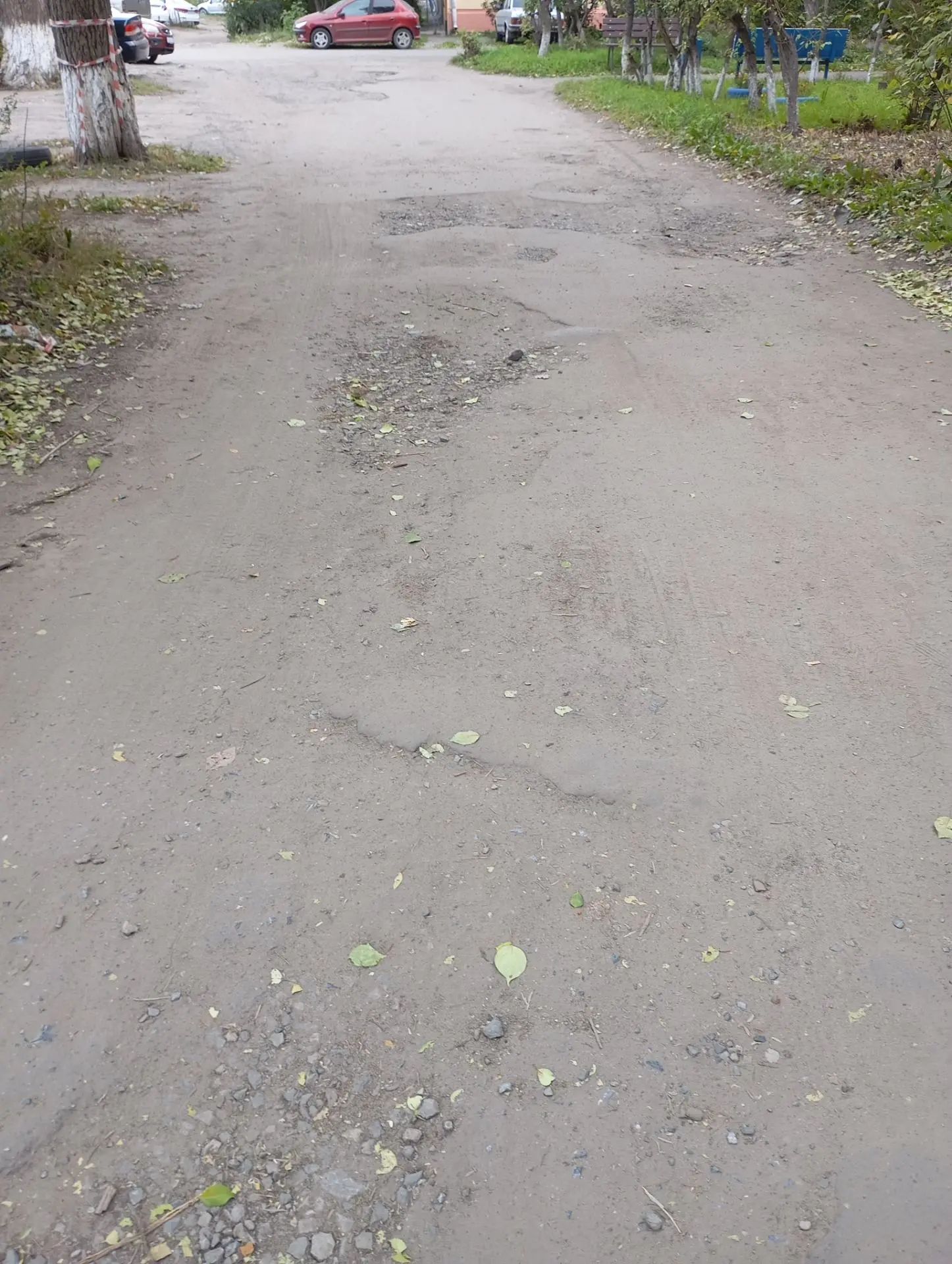 Дорогу возле дома